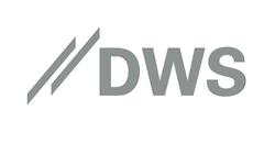 Logo DWS.png